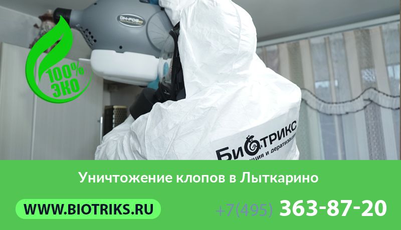 Уничтожение клопов в Лыткарино