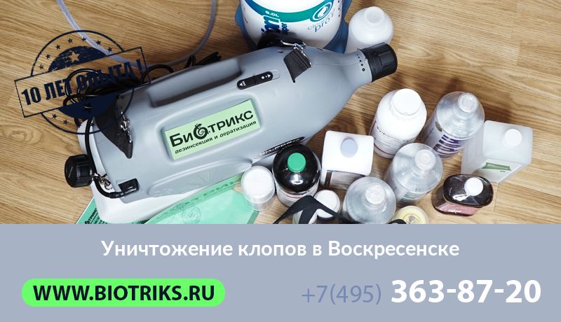 Уничтожение клопов в Воскресенске