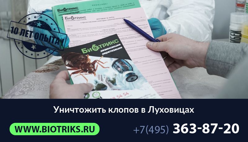 Уничтожить клопов в Луховицах
