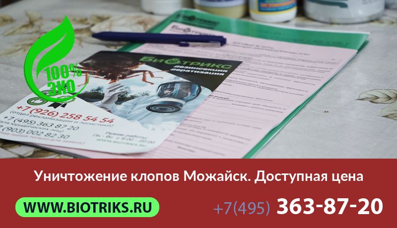 Уничтожение клопов Можайск. Доступная цена