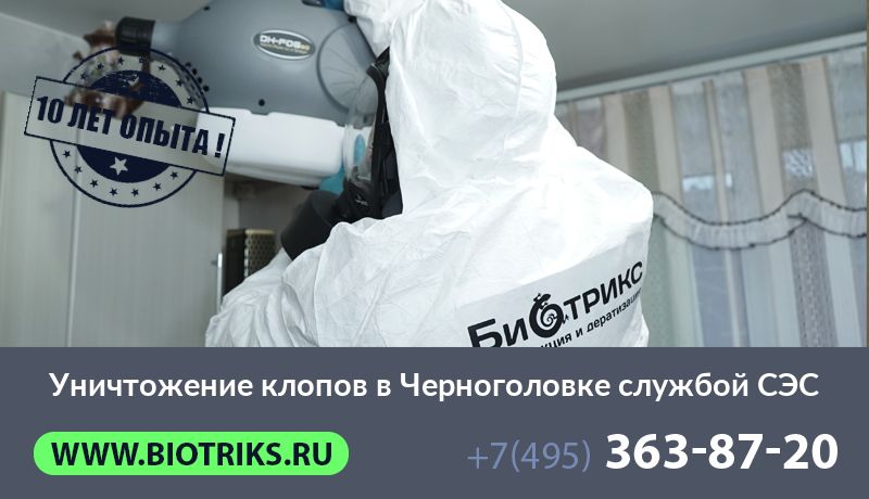 Уничтожение клопов в Черноголовке службой СЭС