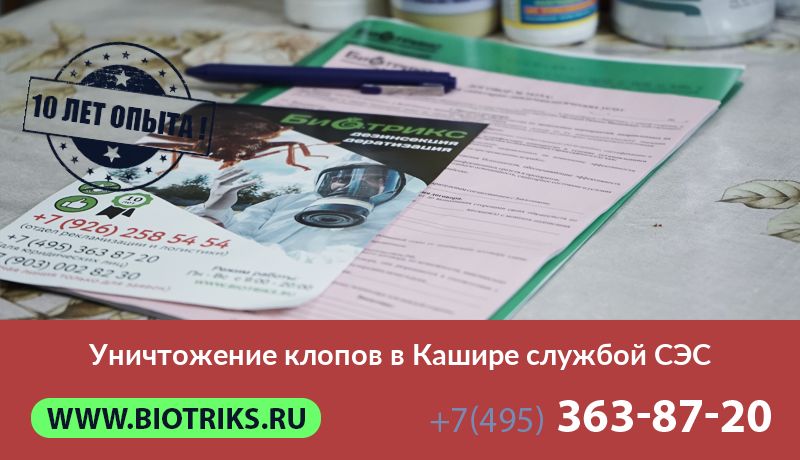 Уничтожение клопов в Кашире службой СЭС