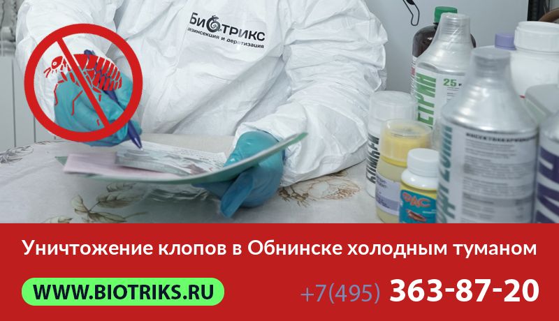Уничтожение клопов в Обнинске холодным туманом