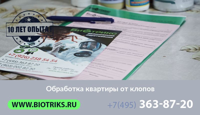 Обработка квартиры от клопов