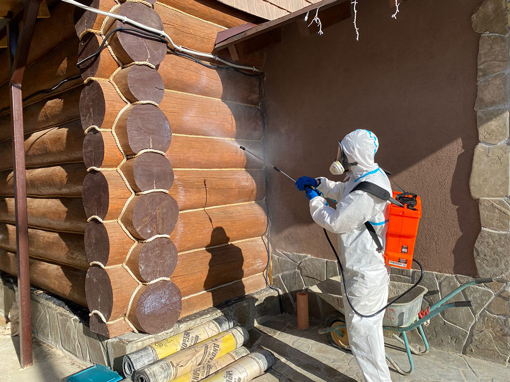 обработка деревянных домов от жука короеда и точильщика в Самаре и Самарской области