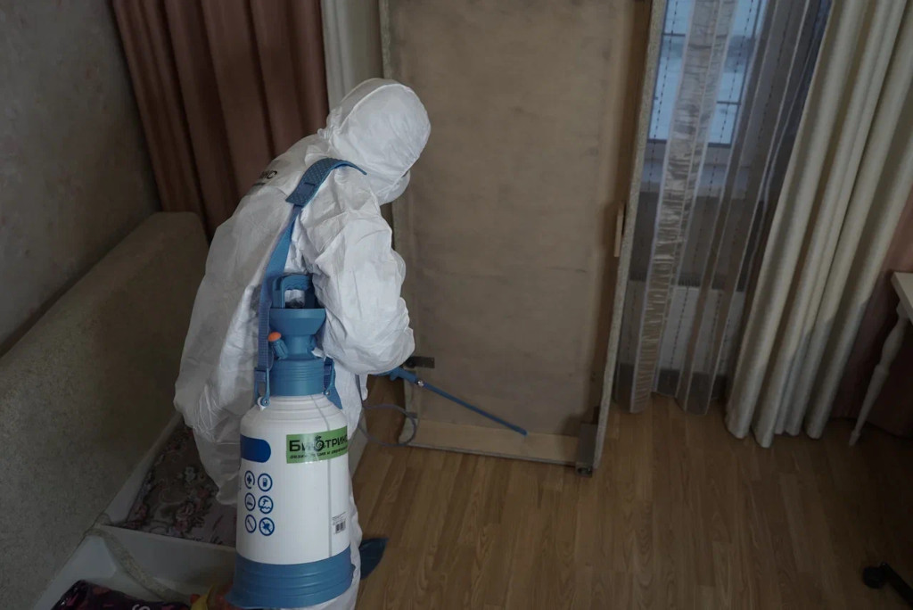Зачем нужно обеззараживать квартиру в Москве от домашних клопов химическим методом?