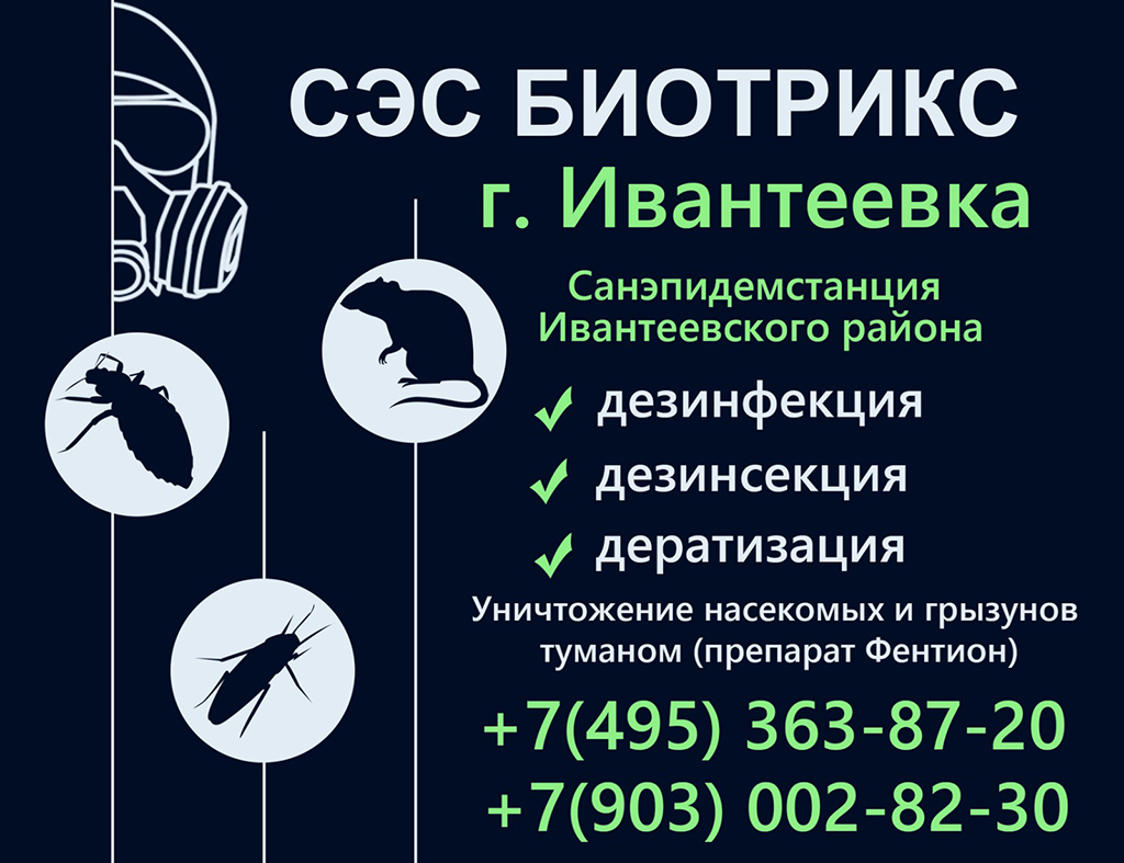 СЭС Ивантеевка - дезинфекция от клопов и домашних тараканов
