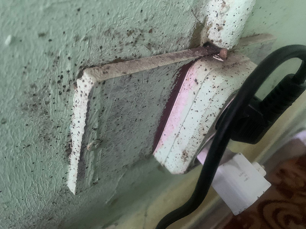 Порядок действий после дезинфекции квартиры от тараканов в Пироговском