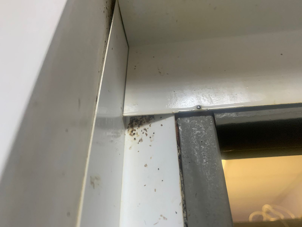 В чем разница между барьерной защитой от постельных клопов и стандартной дезинфекцией квартиры от насекомых?