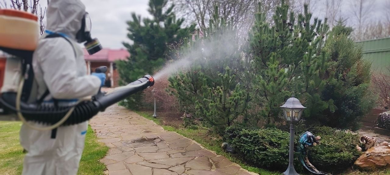 Профессиональная обработка дачных участков СЭС службой от комаров в Ногинске и Ногинском районе возле водохранилищ и вдоль шоссе
