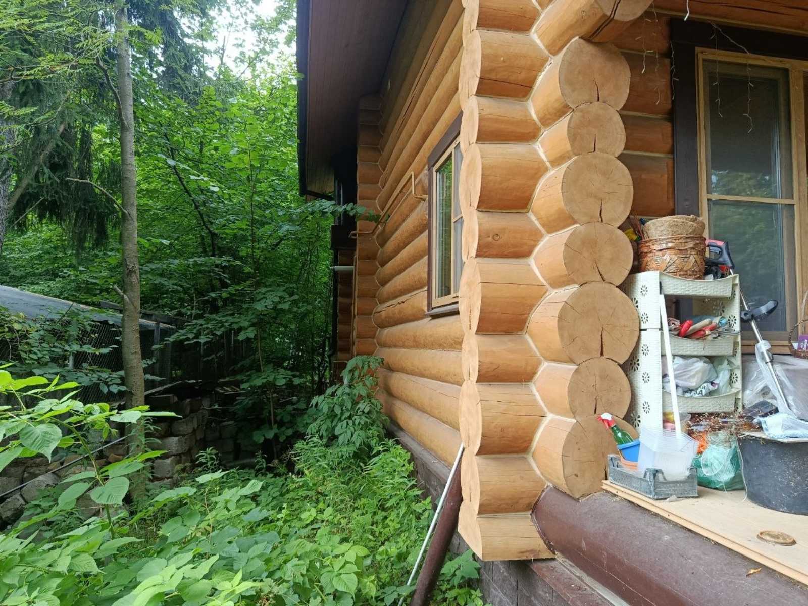 Какие вредители чаще всего поражают деревянные дома