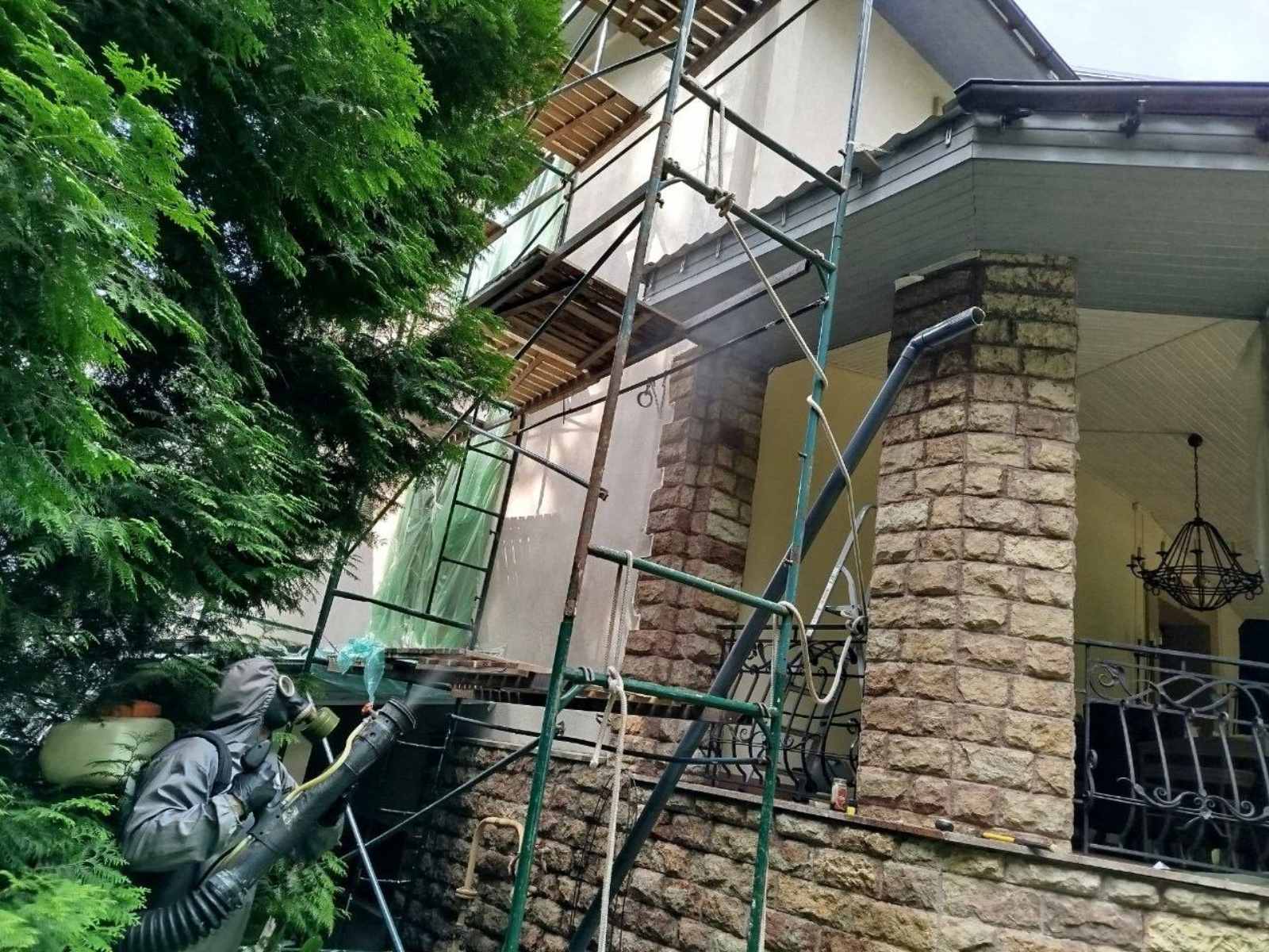 Профессиональное уничтожение ос и шершней