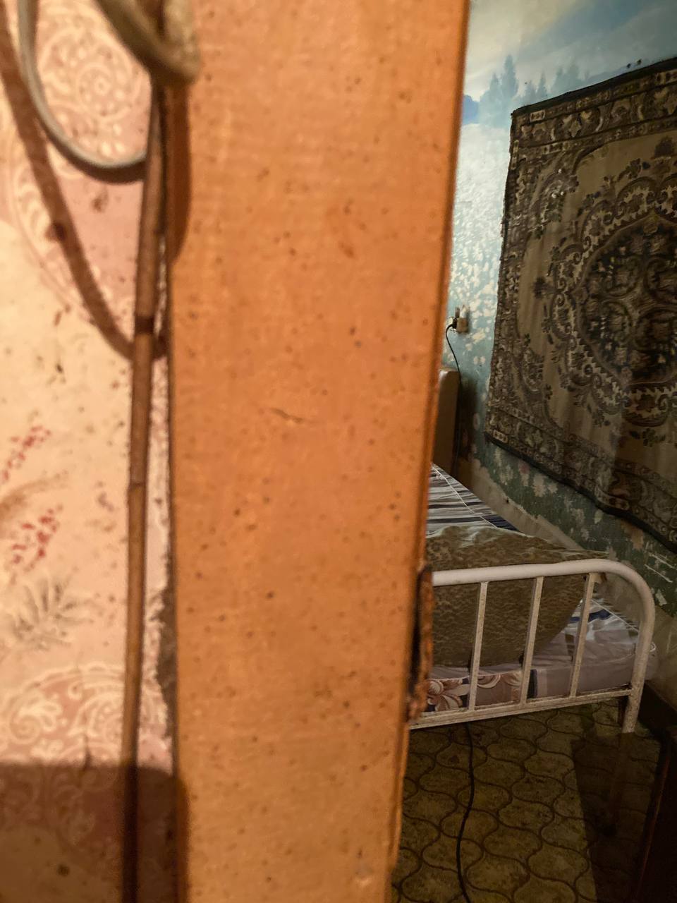 Уничтожение тараканов в Королёве &mdash; профессиональная дезинсекция СЭС с гарантией качества, современными технологиями и полным уничтожением насекомых