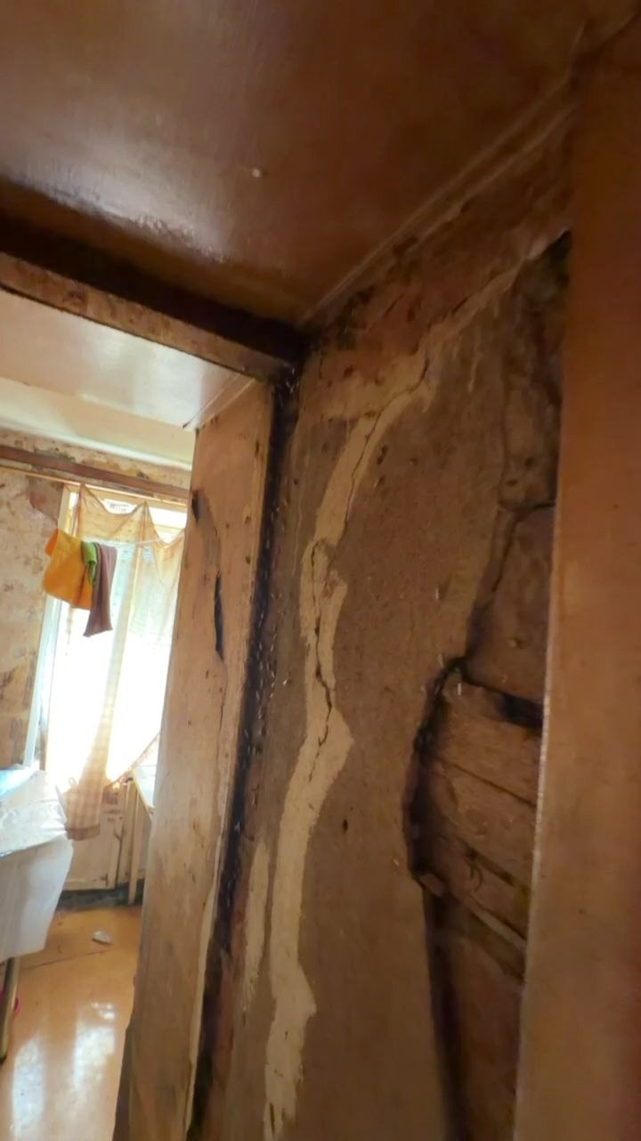 Дезинсекция частного дома