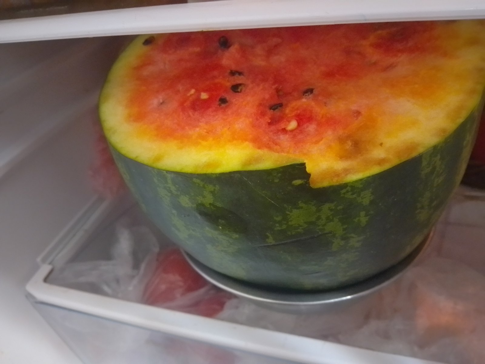 Восстановление холодильника после гнилых продуктов — профессиональное удаление запахов и санитарная обработка СЭС