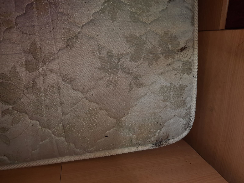 постельные диванные клопы в Самаре - уничтожение и обработка