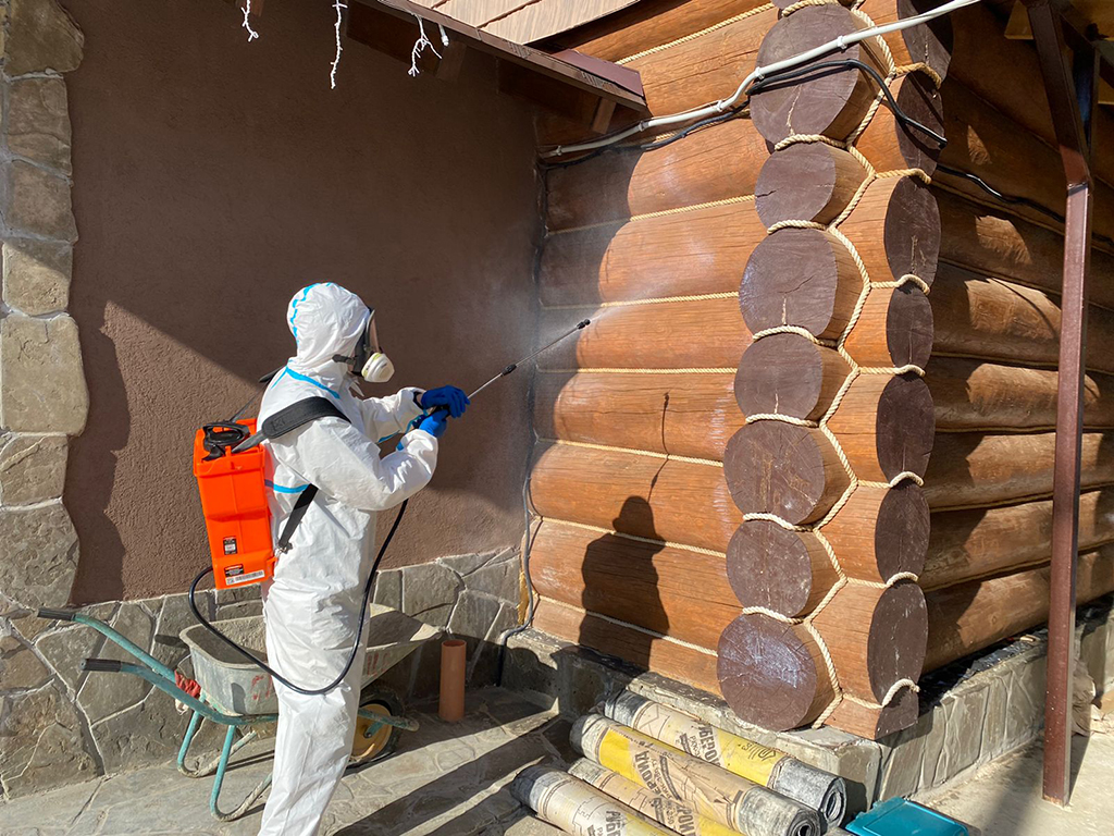 Обработка деревянного дома от жука короеда в Балаково