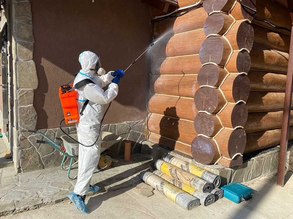 Уничтожение короеда и жука точильщика на участке в Балаково