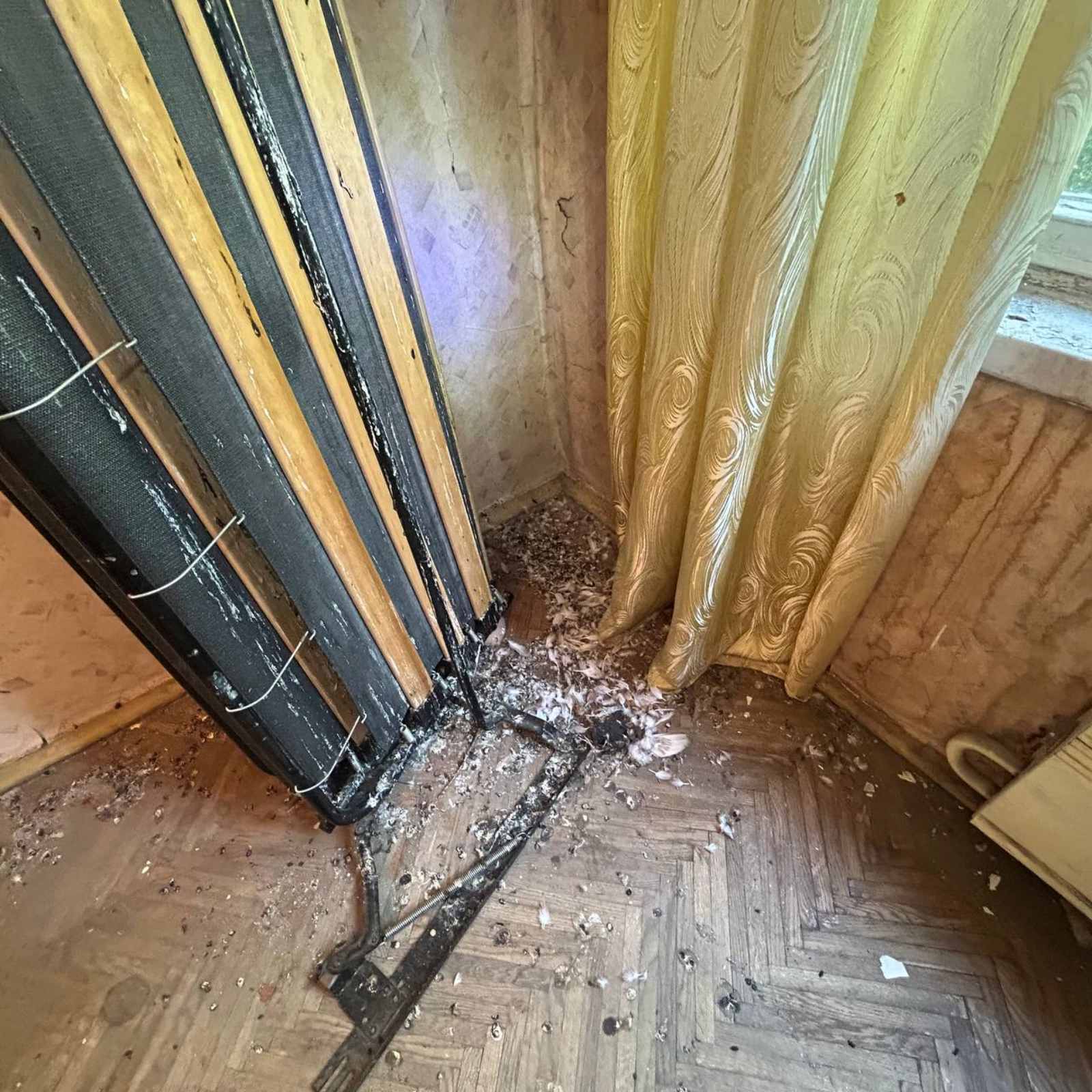 Уборка после мертвых птиц в Москве и Московской области