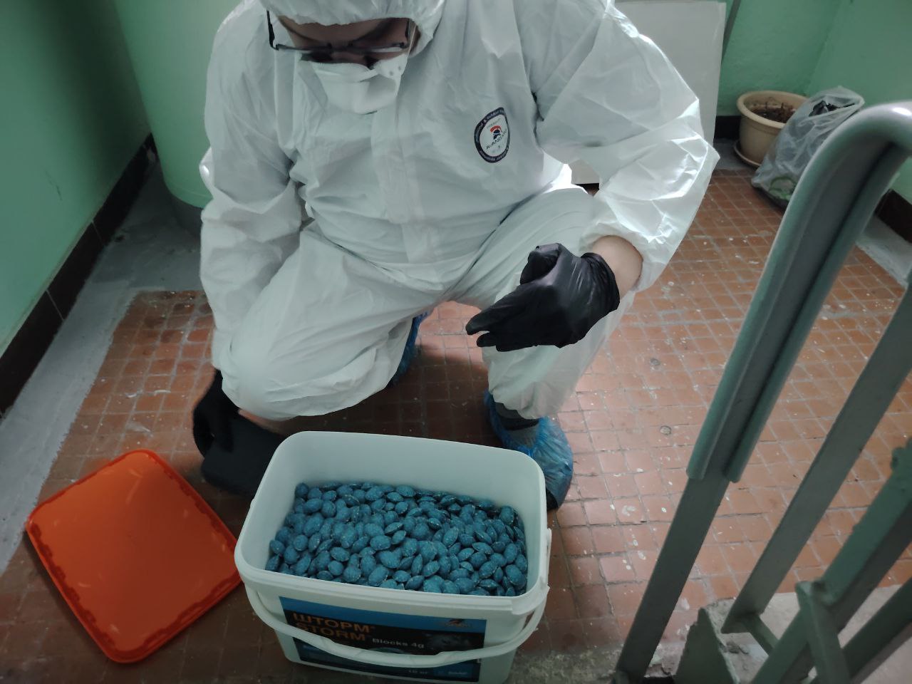 Профессиональная дератизация мышей и крыс в любых помещениях