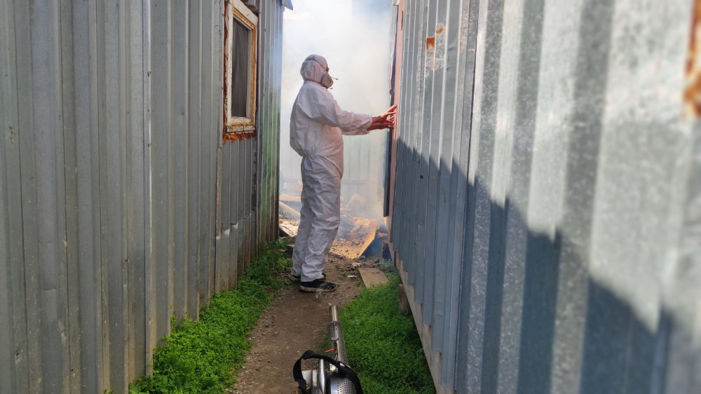 обработка туманом от клопов отзывы и фумигация складов в Апрелевке