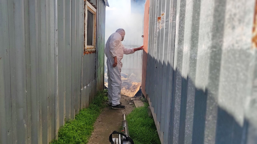обработка горячим туманом от клопов и фумигация цена в Голицино
