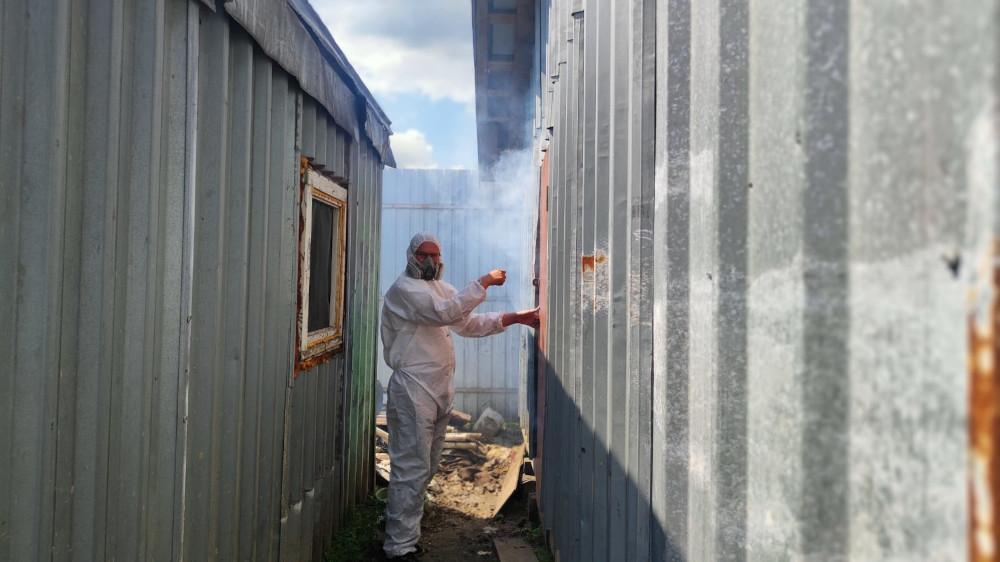обработка квартиры от клопов холодным туманом и фосфин для фумигации в Краснознаменском