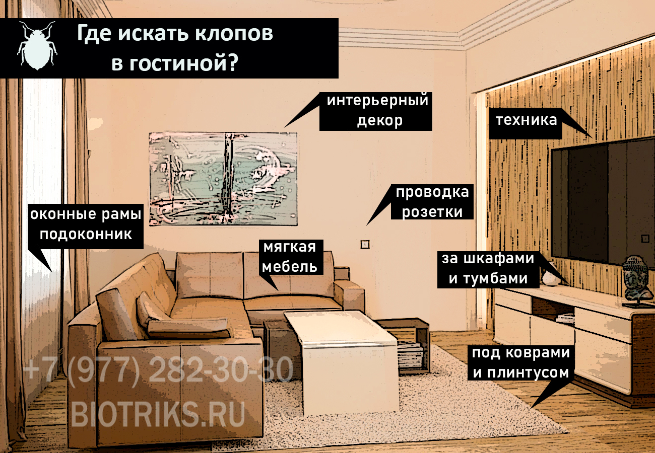 Где искать постельных и домашних клопов в гостиной, зале или детской комнате в г. Сергиев Посад?