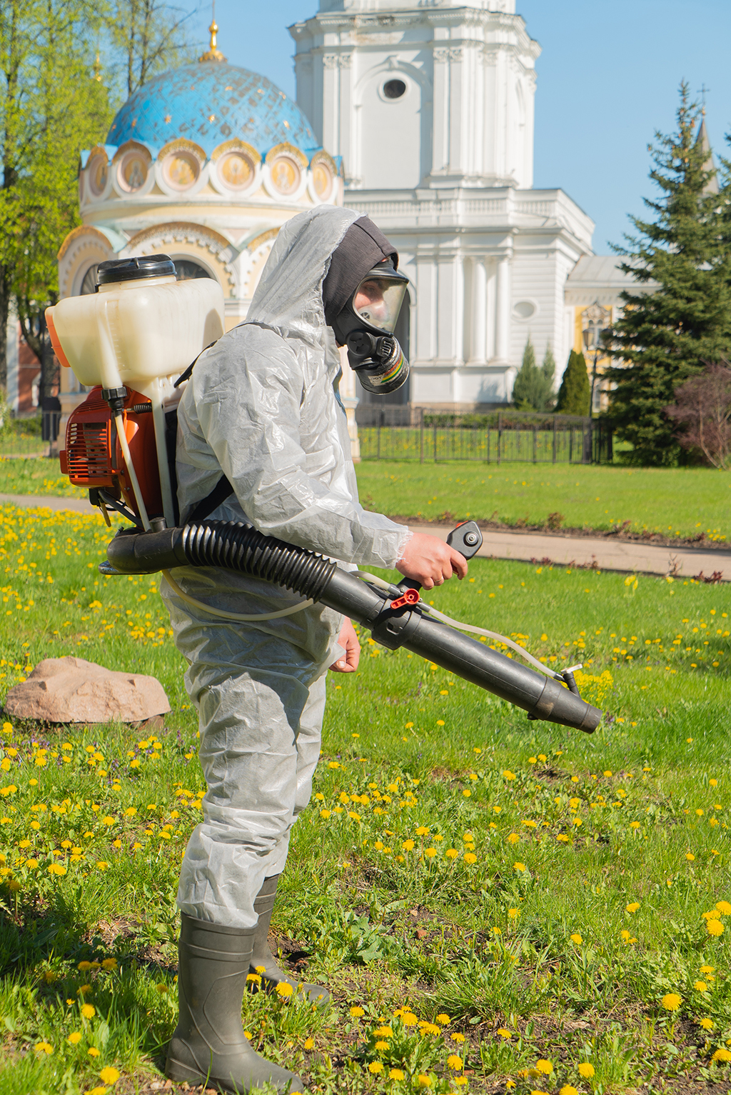 Как защитить шпица от клещей на садовом или загородном участке, в коттедже или особняке - обработка участков в Московской области и Москве