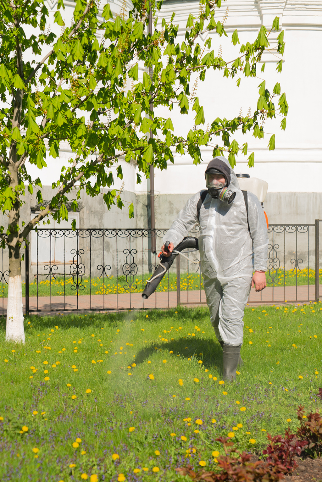 Как защитить шпица от клещей - обработка участков в Московской области и Москве