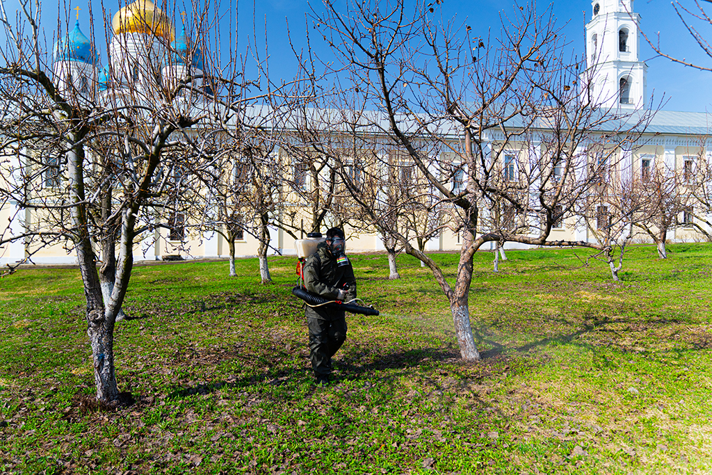 Как часто появляются энцефалитные клещи в Москве и городах-сателлитах, таких как Мытищи и как нужно обрабатывать от них парки, сады, дачи?
