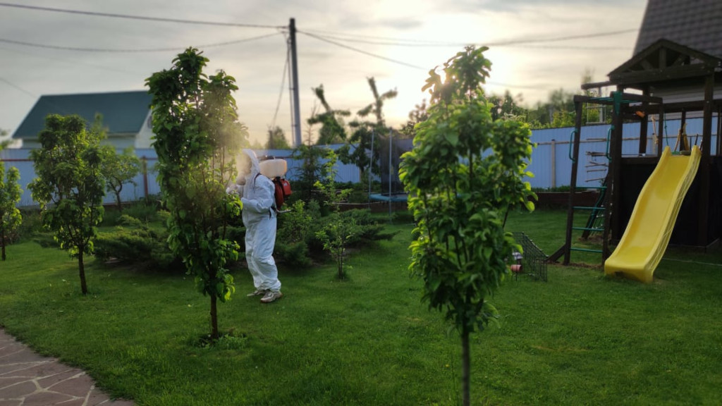 Какой тип обработки садовых участков самый эффективный в Московской области и почему?