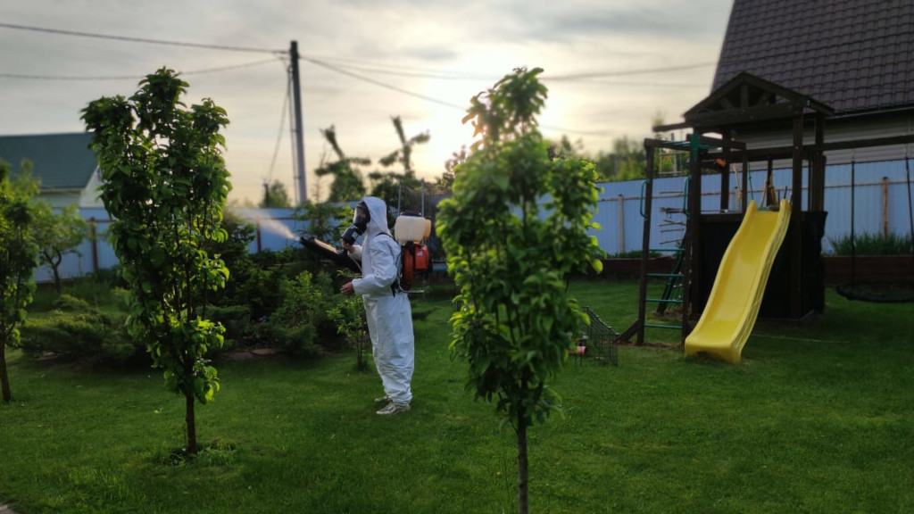 Противоклещевая акарицидная обработка территории парков, дач и загородных домов в Зеленограде!
