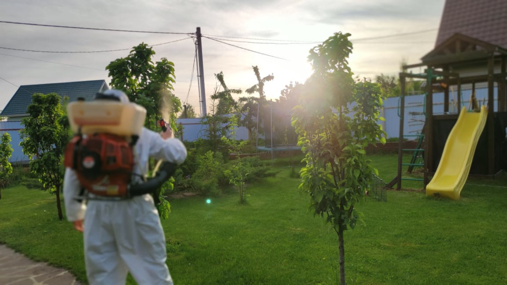 Обработка садовых дачных участков Дедовска в Московской области от иксодовых клещей