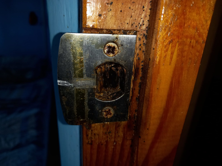 Домашние клопы на двери в Жуково 