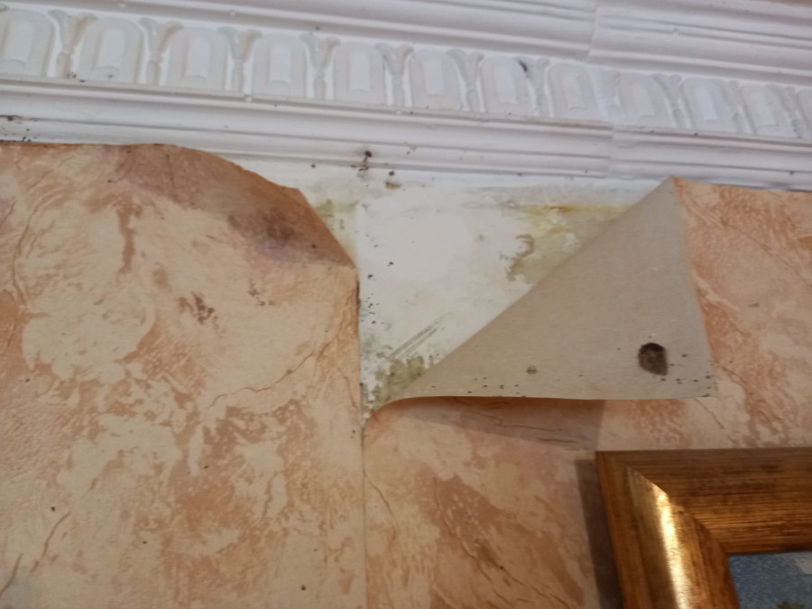 Уничтожение клопов в Белоусово после травли с обработкой квартир и дач от насекомых