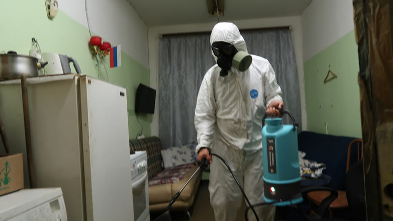 Уничтожение клопов в Коломне - дезинфекция квартир и помещений от насекомых