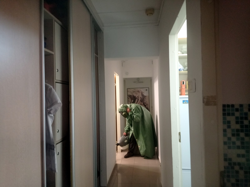 Уничтожение клопов в квартире г. Красногорск в коридоре холодным и горячим туманом с обработкой от насекомых