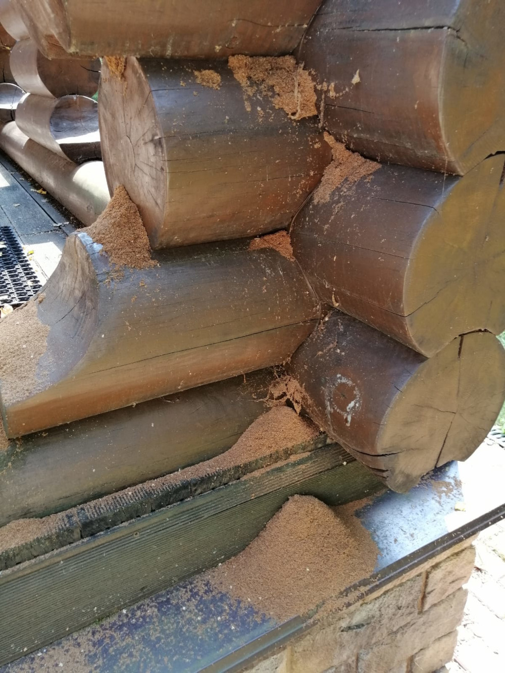 Уничтожение короеда, жука-точильщика и усача в Балашихе и Ногинске в деревянном доме фосфином