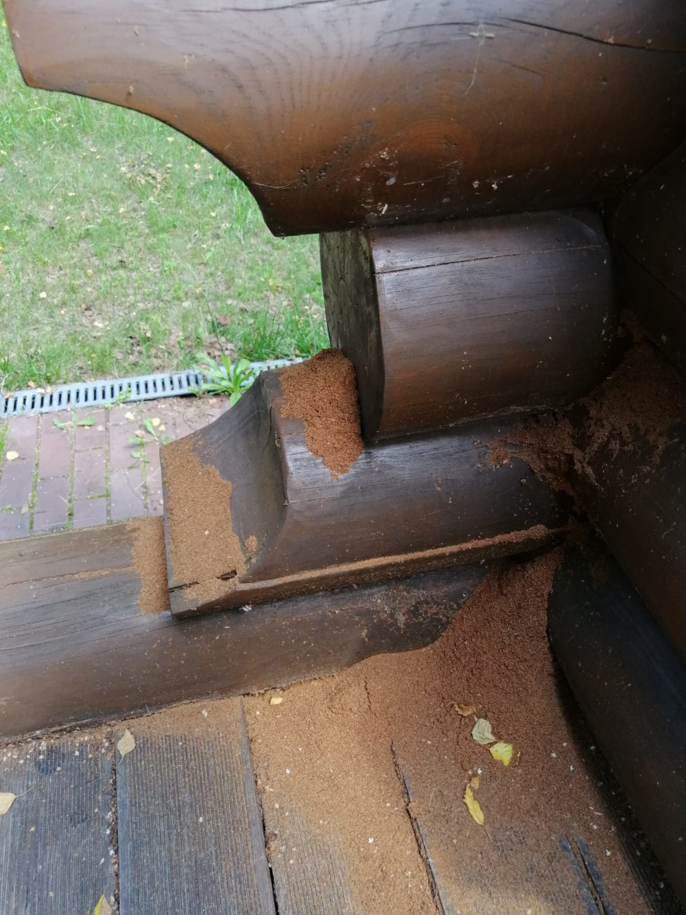 Как избавиться от короеда, жука усача и точильщика в Домодедово и г. Видное - уничтожение насекомых в деревянном доме