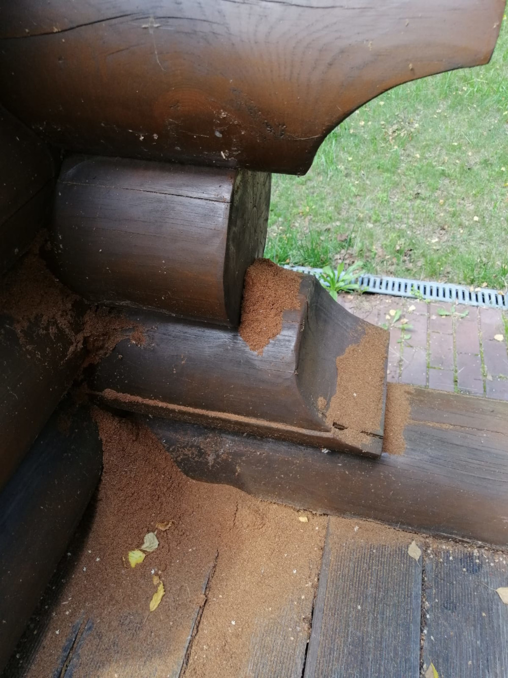 Как избавиться от короеда, жука-точильщика (древоточец) и усача в Люберцах и Жуковском - уничтожение в деревянном доме
