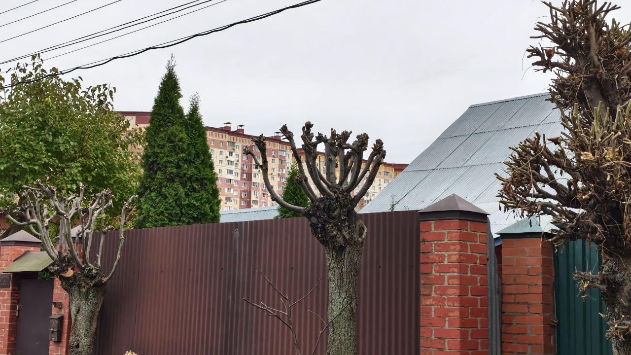 Как подготовить участок к приезду специалиста