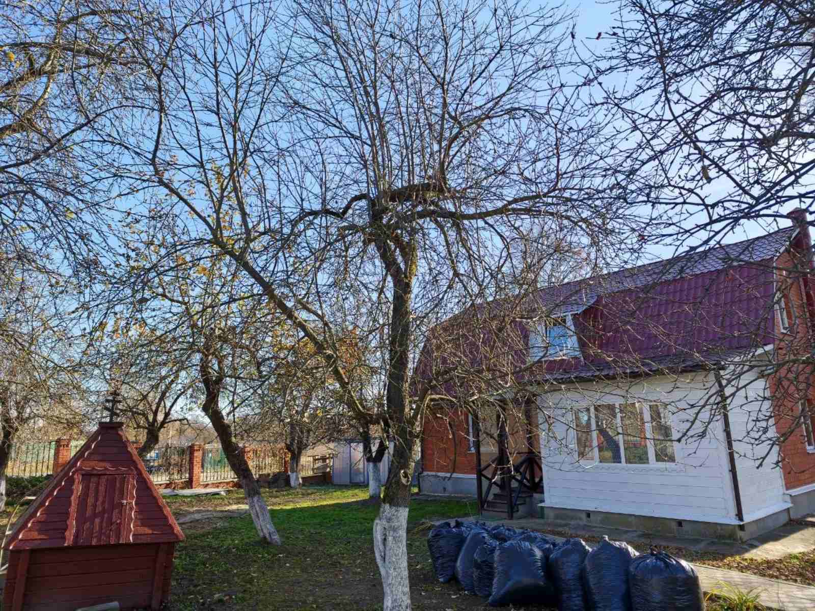 Заказать обрезку и лечение старых деревьев в Дмитрове