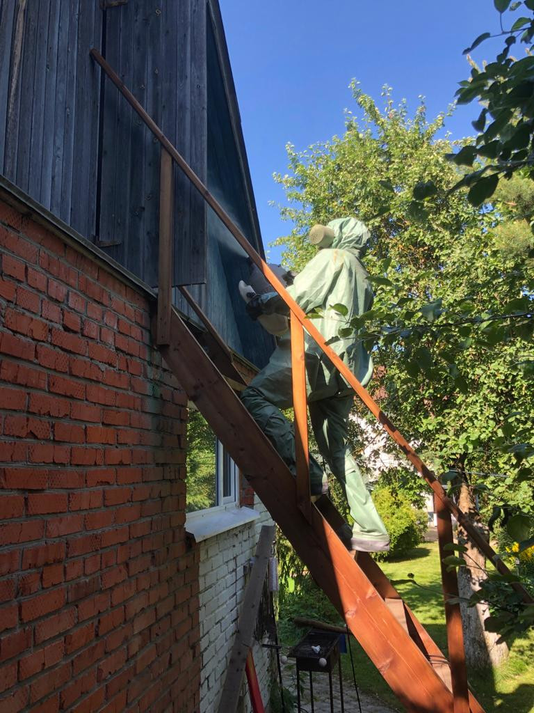 Уничтожение ос, шершней и осиных гнезд на балконе в Электростали, Ногинске, Балашихе - избавиться от осы на чердаке