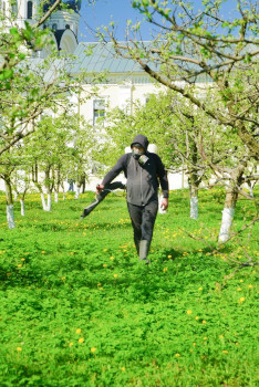 Обработка сада и огорода от клещей в Московской области
