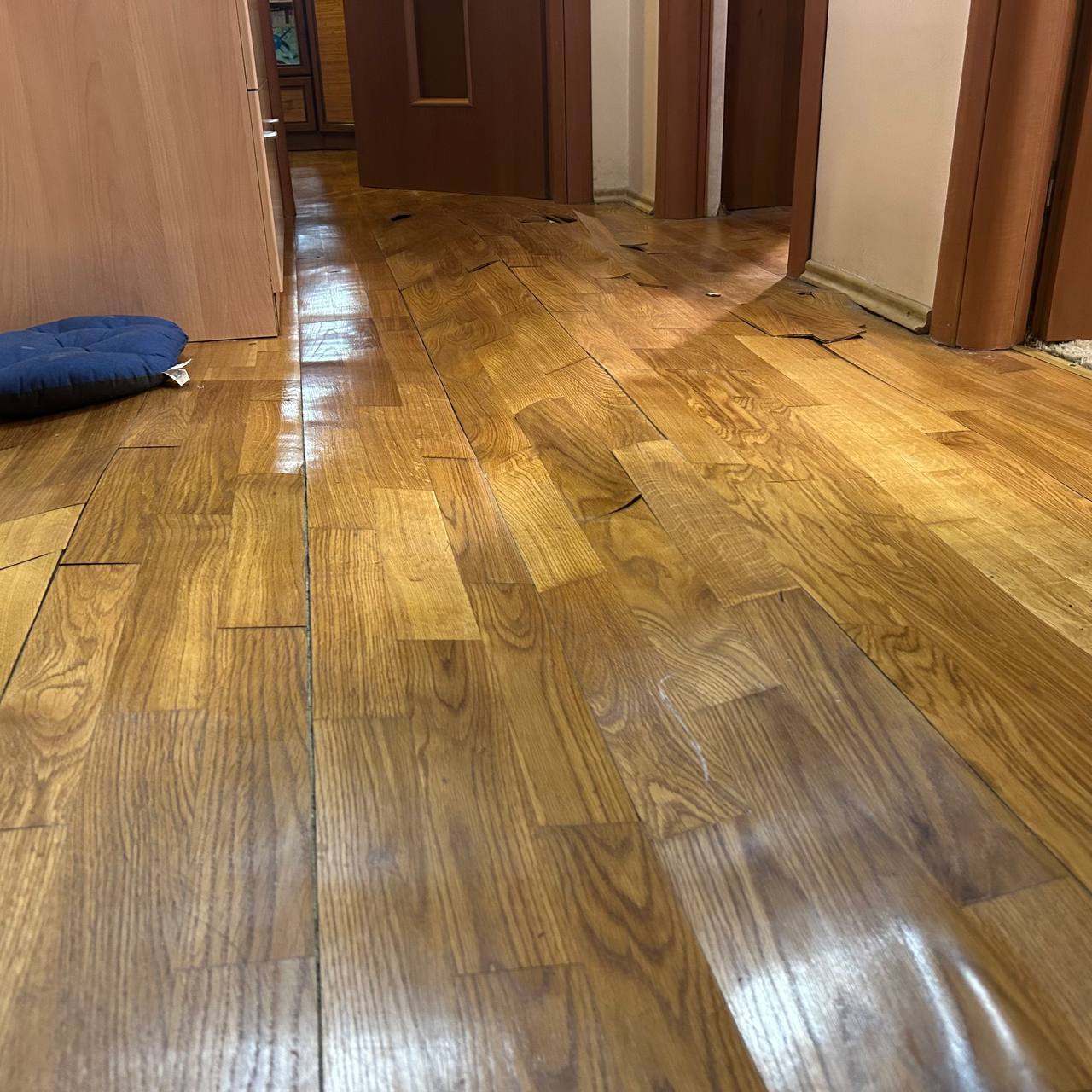 Осушение частного дома после затопления в Московской области