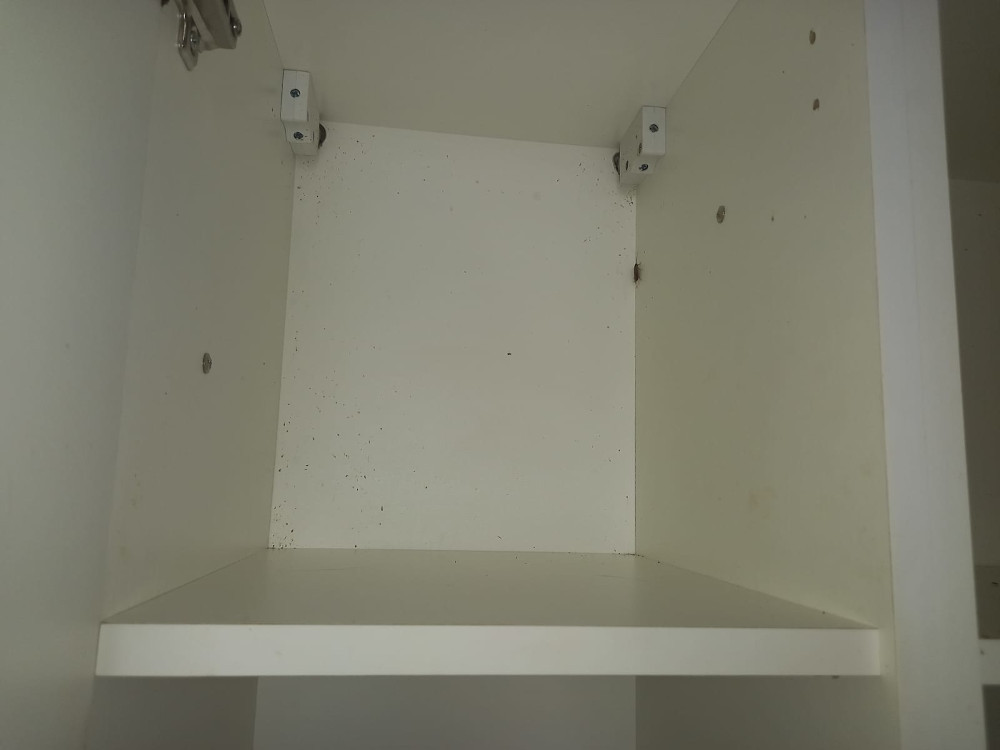 Уничтожение тараканов в Зеленограде и обработка квартир после дезинфекции и травли качественной отравой