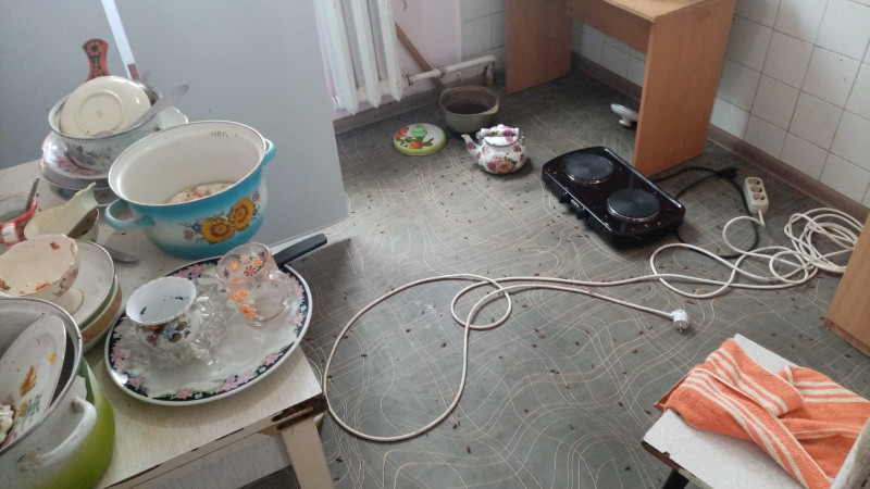 Уничтожение тараканов в Котельниках и обработка квартир после дезинфекции эффективными средствами