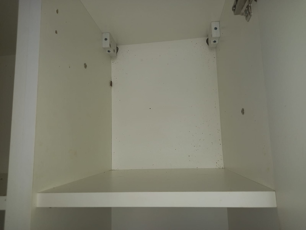 Уничтожение тараканов в Лыткарино туманом с обработкой квартиры после травли