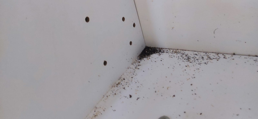 Эффективное уничтожение тараканов в Павловской слободе - травля качественной отравой